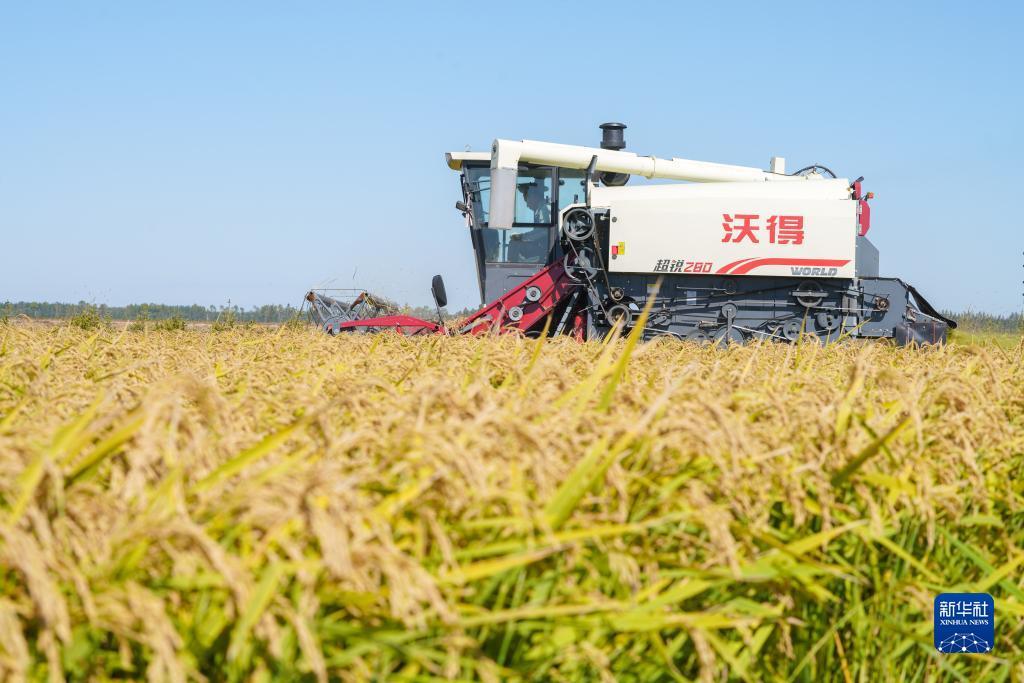 大将娱乐88pt88